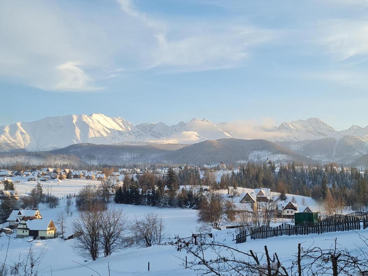 Villa Dorota Zakopane Exterior photo